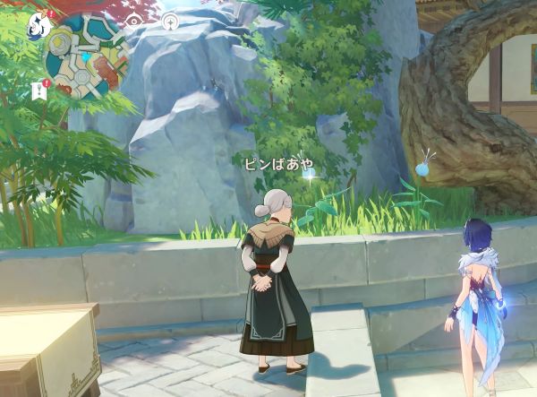 ピンばあやの居場所マップ