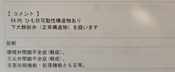 エコー検査の結果